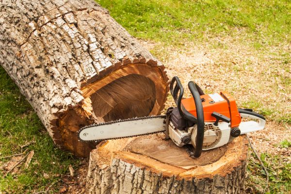 Tree Cutting Service in Post Falls