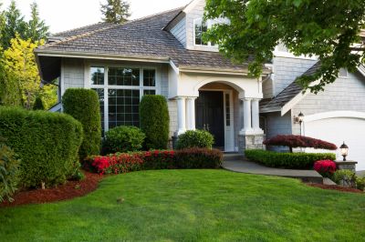 Landscaped Yard with Trimmed Trees